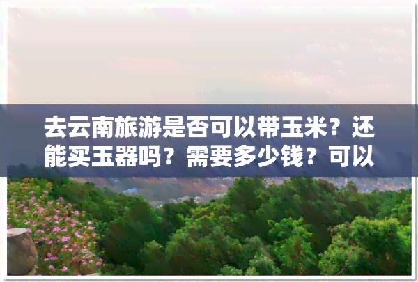 去云南旅游是否可以带玉米？还能买玉器吗？需要多少钱？可以带哪些东西？