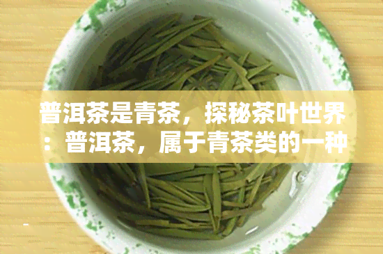 普洱茶是青茶，探秘茶叶世界：普洱茶，属于青茶类的一种