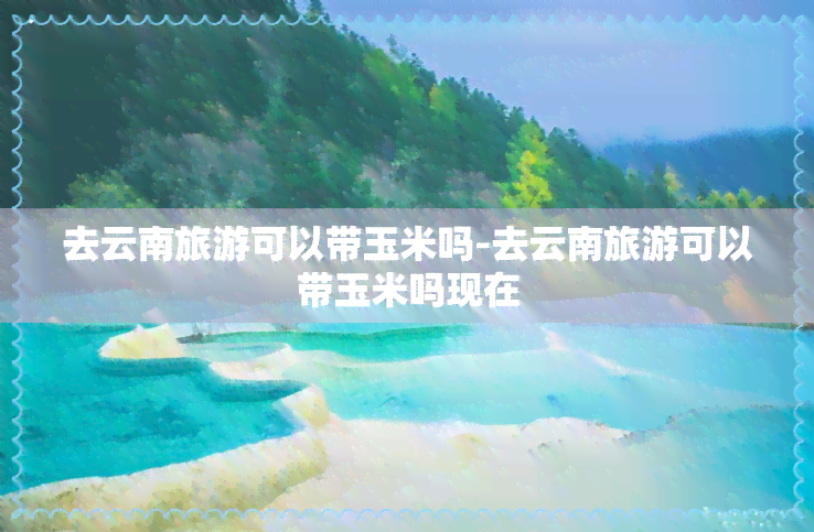 去云南旅游可以带玉米吗-去云南旅游可以带玉米吗现在