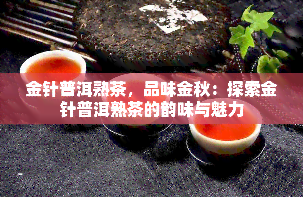 金针普洱熟茶，品味金秋：探索金针普洱熟茶的韵味与魅力