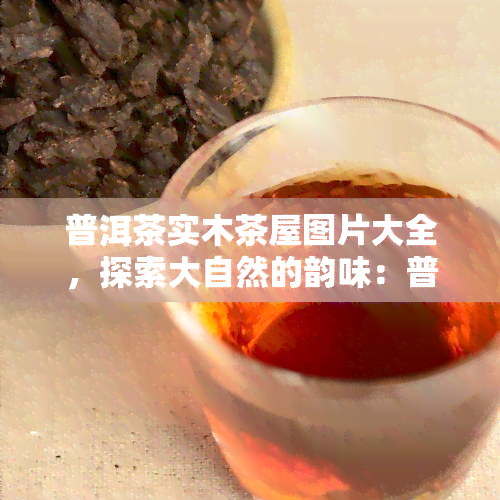 普洱茶实木茶屋图片大全，探索大自然的韵味：普洱茶实木茶屋图片大全