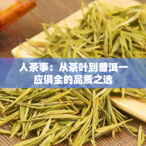 人茶事：从茶叶到普洱一应俱全的品质之选