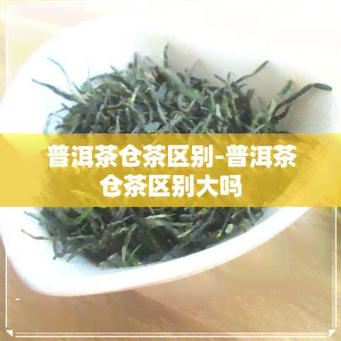 普洱茶仓茶区别-普洱茶仓茶区别大吗