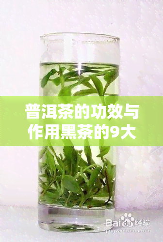 普洱茶的功效与作用黑茶的9大功效与作用全揭秘，以及食用方法与禁忌