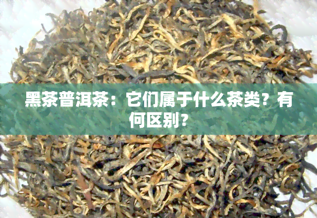 黑茶普洱茶：它们属于什么茶类？有何区别？