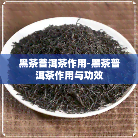 黑茶普洱茶作用-黑茶普洱茶作用与功效