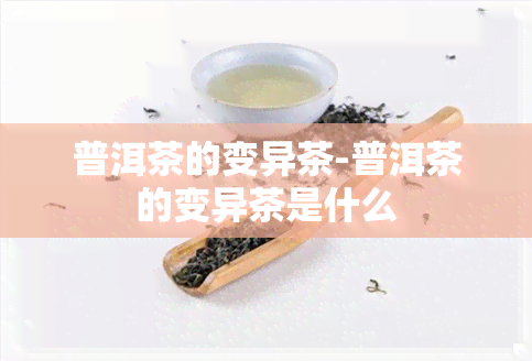 普洱茶的变异茶-普洱茶的变异茶是什么