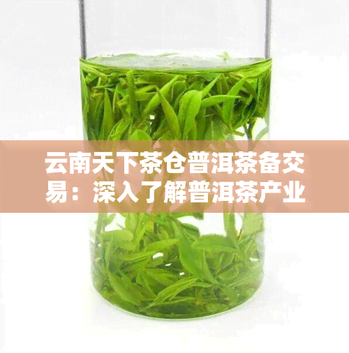 云南天下茶仓普洱茶备交易：深入了解普洱茶产业的重要平台