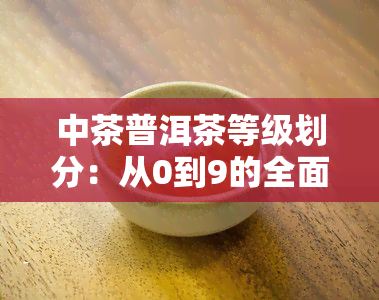 中茶普洱茶等级划分：从0到9的全面解析与价格表