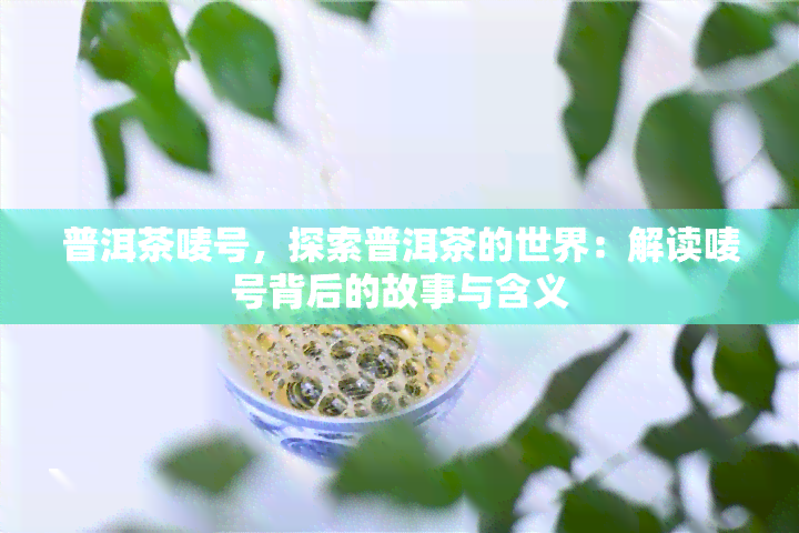 普洱茶唛号，探索普洱茶的世界：解读唛号背后的故事与含义