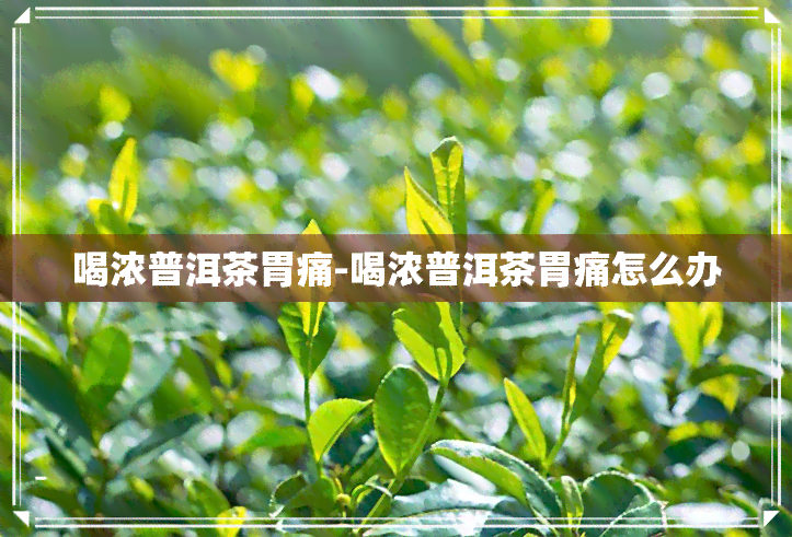 喝浓普洱茶胃痛-喝浓普洱茶胃痛怎么办