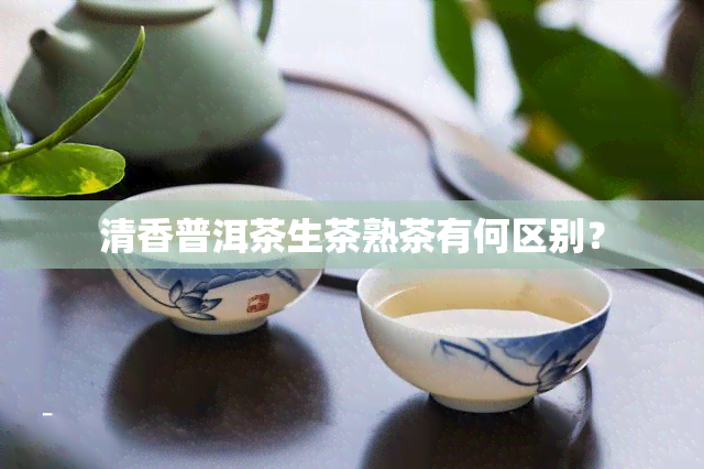 清香普洱茶生茶熟茶有何区别？