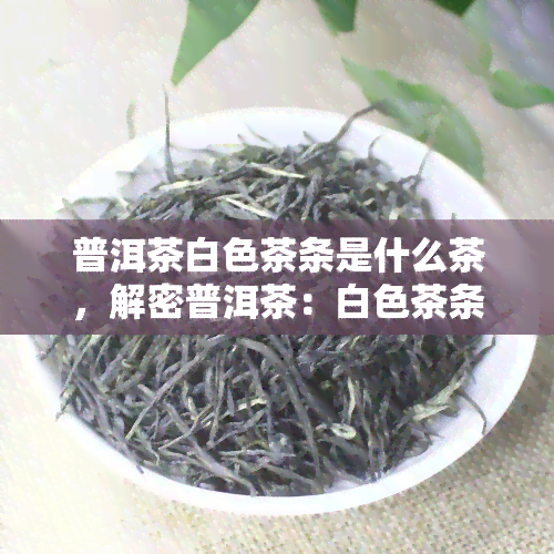 普洱茶白色茶条是什么茶，解密普洱茶：白色茶条的品种和特点