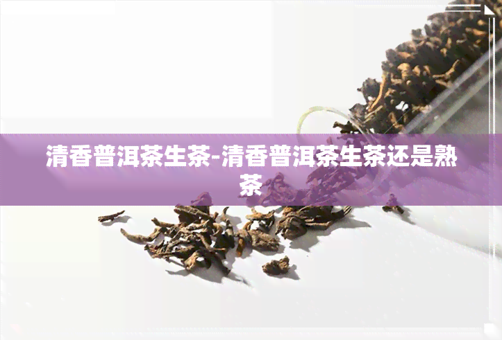 清香普洱茶生茶-清香普洱茶生茶还是熟茶