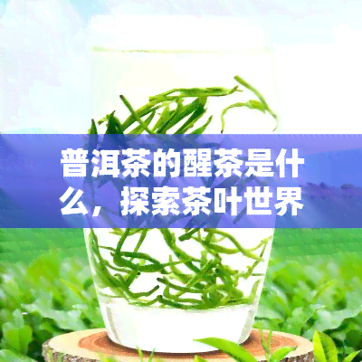 普洱茶的醒茶是什么，探索茶叶世界的奥秘：普洱茶醒茶是什么？