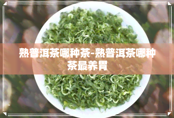 熟普洱茶哪种茶-熟普洱茶哪种茶最养胃