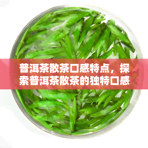 普洱茶散茶口感特点，探索普洱茶散茶的独特口感特点