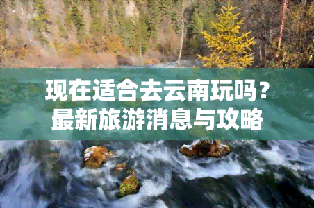 现在适合去云南玩吗？最新旅游消息与攻略