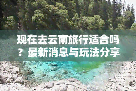 现在去云南旅行适合吗？最新消息与玩法分享