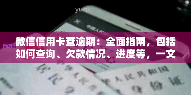 微信信用卡查逾期：全面指南，包括如何查询、欠款情况、进度等，一文了解！