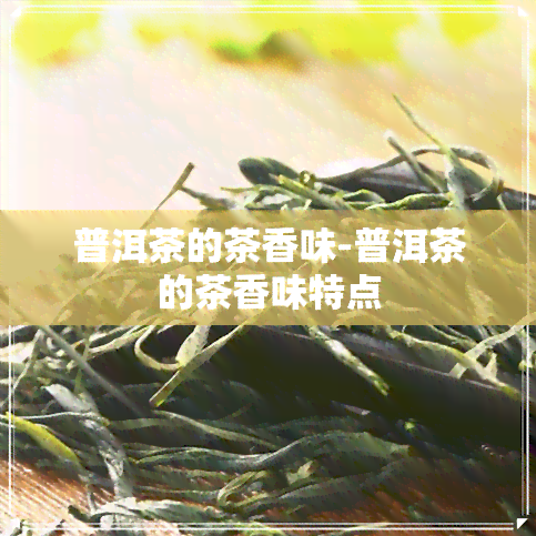 普洱茶的茶香味-普洱茶的茶香味特点