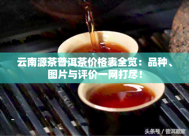 云南源茶普洱茶价格表全览：品种、图片与评价一网打尽！