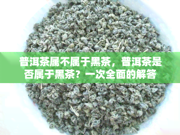 普洱茶属不属于黑茶，普洱茶是否属于黑茶？一次全面的解答