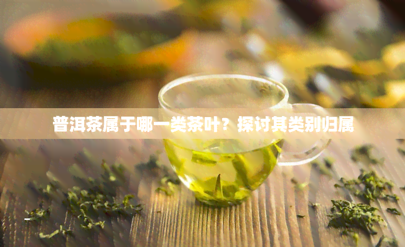 普洱茶属于哪一类茶叶？探讨其类别归属