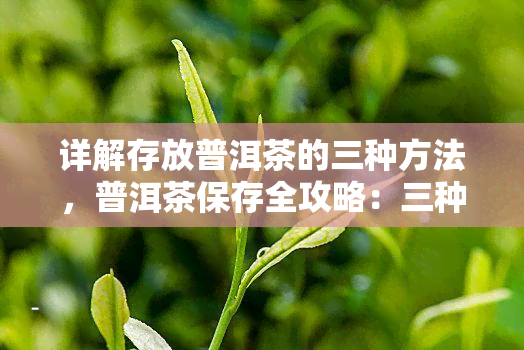 详解存放普洱茶的三种方法，普洱茶保存全攻略：三种有效存方法详解