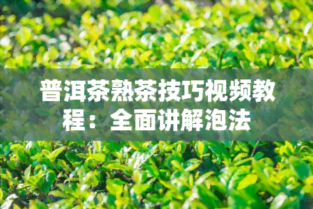 普洱茶熟茶技巧视频教程：全面讲解泡法