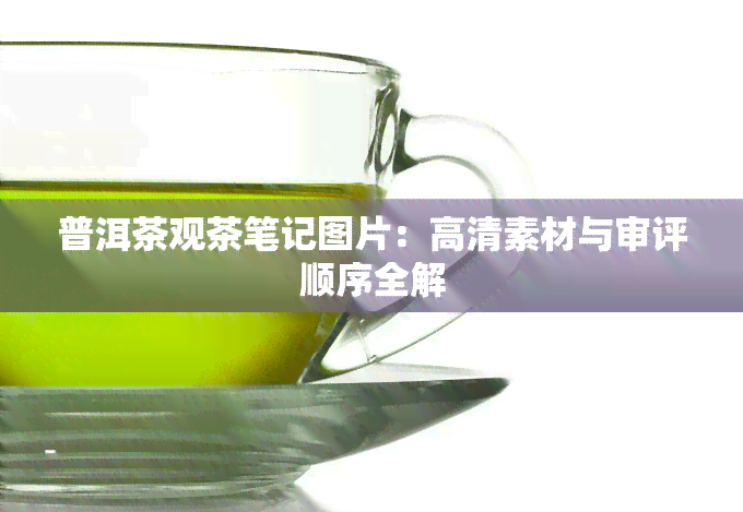 普洱茶观茶笔记图片：高清素材与审评顺序全解