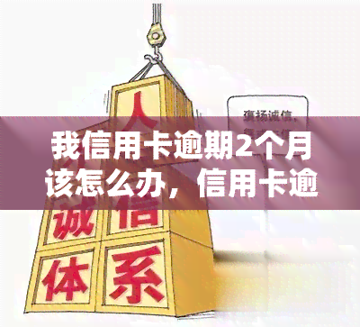 我信用卡逾期2个月该怎么办，信用卡逾期2个月，应该怎么办？