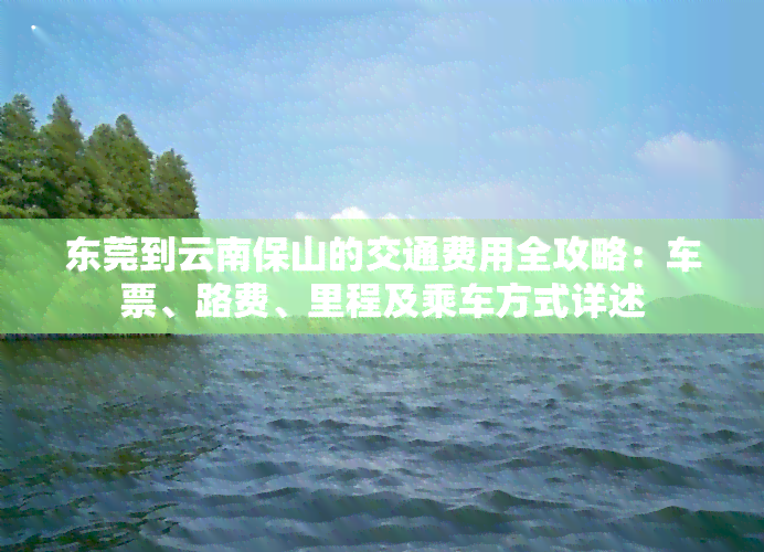 东莞到云南保山的交通费用全攻略：车票、路费、里程及乘车方式详述