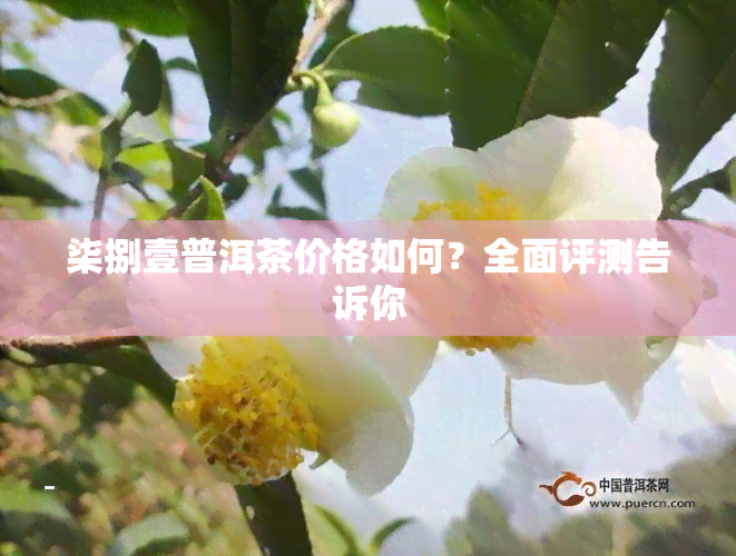 柒捌壹普洱茶价格如何？全面评测告诉你