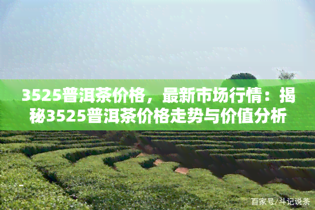 3525普洱茶价格，最新市场行情：揭秘3525普洱茶价格走势与价值分析