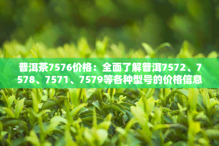 普洱茶7576价格：全面了解普洱7572、7578、7571、7579等各种型号的价格信息