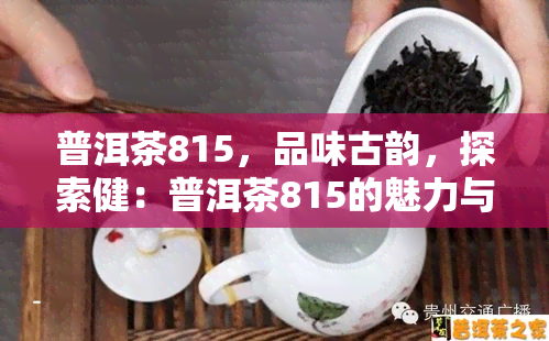 普洱茶815，品味古韵，探索健：普洱茶815的魅力与功效