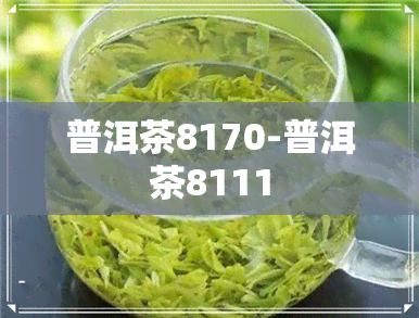 普洱茶8170-普洱茶8111