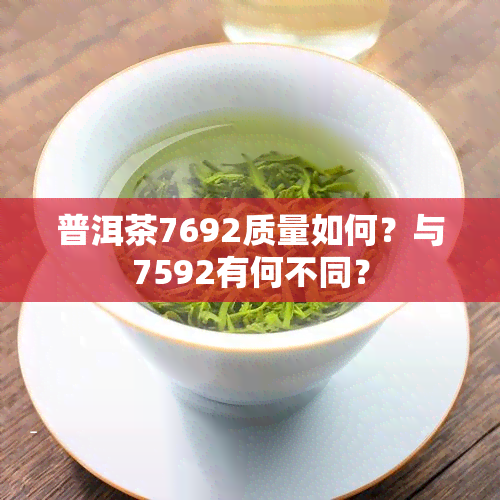 普洱茶7692质量如何？与7592有何不同？