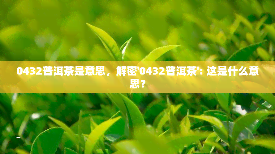 0432普洱茶是意思，解密'0432普洱茶': 这是什么意思？