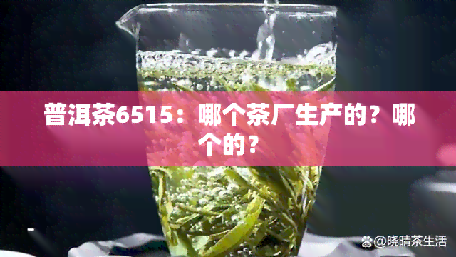 普洱茶6515：哪个茶厂生产的？哪个的？