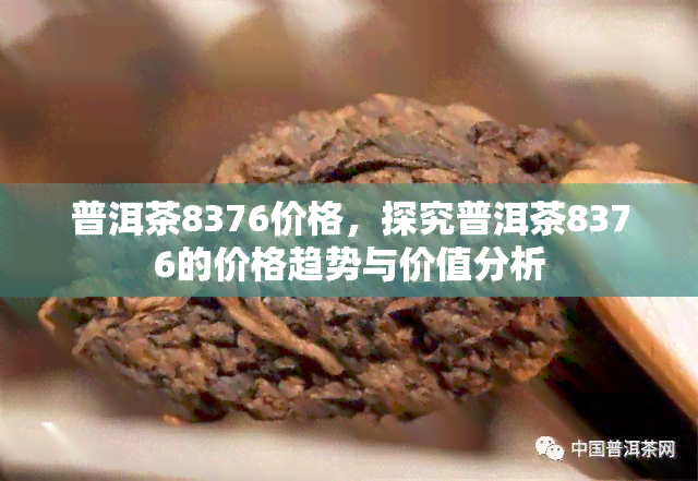 普洱茶8376价格，探究普洱茶8376的价格趋势与价值分析