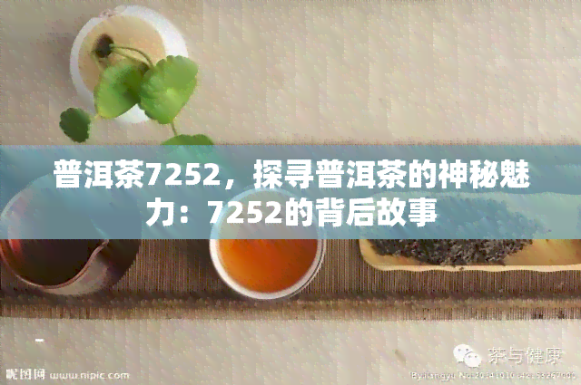 普洱茶7252，探寻普洱茶的神秘魅力：7252的背后故事