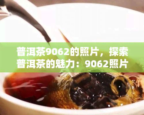 普洱茶9062的照片，探索普洱茶的魅力：9062照片揭示了什么？