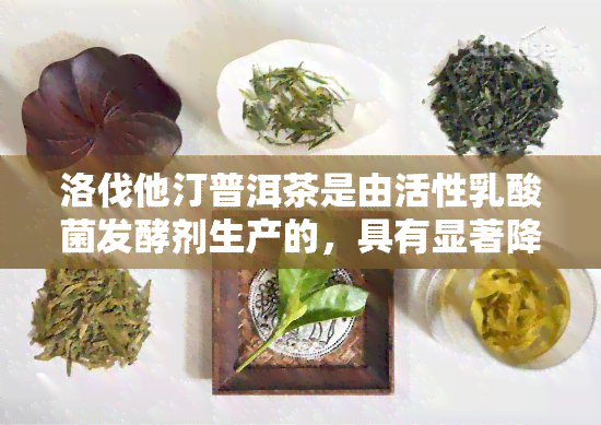 洛伐他汀普洱茶是由活性乳酸菌发酵剂生产的，具有显著降血脂效果