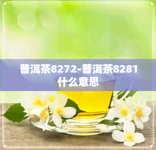 普洱茶8272-普洱茶8281什么意思