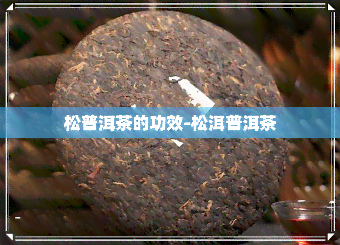 松普洱茶的功效-松洱普洱茶