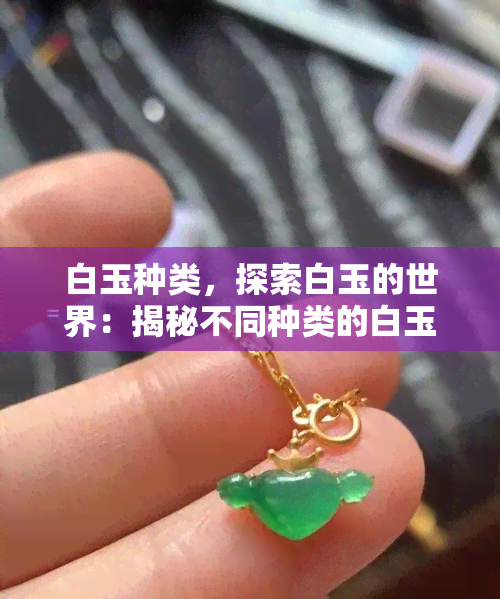 白玉种类，探索白玉的世界：揭秘不同种类的白玉及其特点