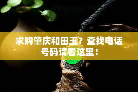 求购肇庆和田玉？查找电话号码请看这里！