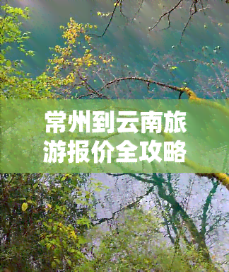 常州到云南旅游报价全攻略：六天自助游、跟团费用查询及详细路线图